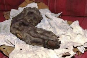 Dito gigante mummificato ritrovato in Egitto.