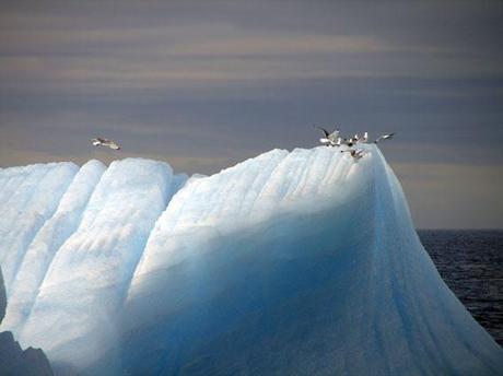 Global warming: la Groenlandia si sta sciogliendo