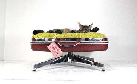 Upcycled Suitcase Pet Bed with Pedestal Base