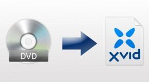 Conversione DVD in XviD