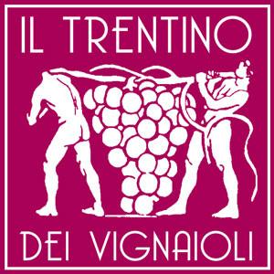 I Vignaioli del Trentino ci mettono la faccia
