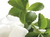 Stevia finalmente libera! attenzione alle fregature...