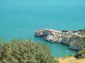 Peschici, annega mentre ripara trabucco