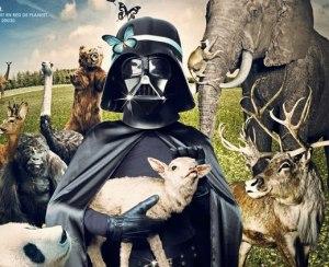 Disjoin to the Dark Side: una Top 5