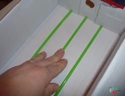 SFIDA “IRISH” AL FORZA 4