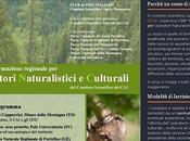 Digilands natura paesaggio