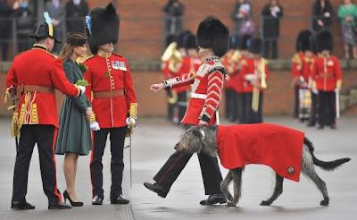 Festa di San Patrizio: arriva Kate Middleton e la guardia reale si sente male