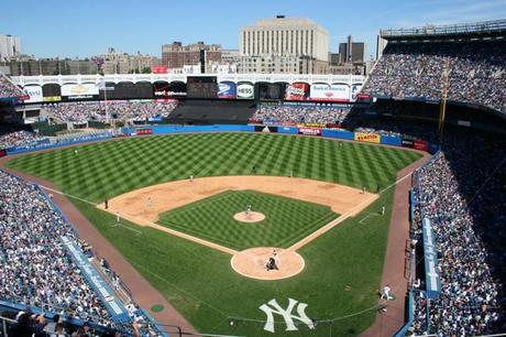 Trovata una nuova specie di rana. In una palude? No, a New York, al Yankee Stadium