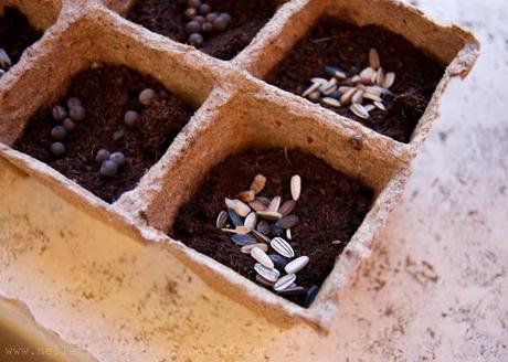 Tutta colpa della Primavera