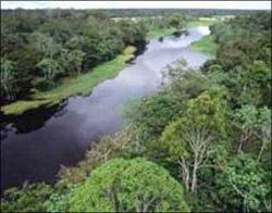 L'Amazzonia è l'ecosistema più ricco di biodiversità al mondo.