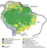 L'Amazzonia è l'ecosistema più ricco di biodiversità al mondo.