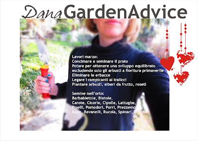 Dana Garden Advice