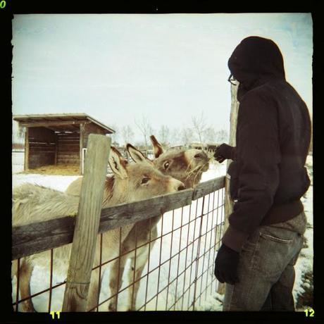 WZFO ami66 & Lomography Color Negative 100, all'agriturismo