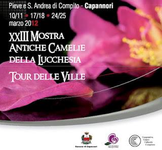 Camillo...la Camelia