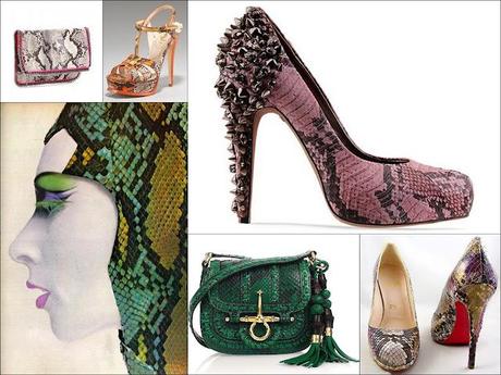 Celine & Snake print