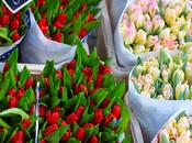 spring-blooming send your pics!