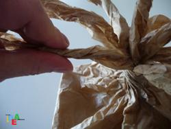 ALL’ALBERO SPUNTANO TANTE VERDI FOGLIOLINE POI…