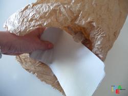 ALL’ALBERO SPUNTANO TANTE VERDI FOGLIOLINE POI…