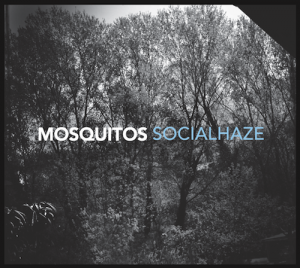 mosquitos-socialhaze