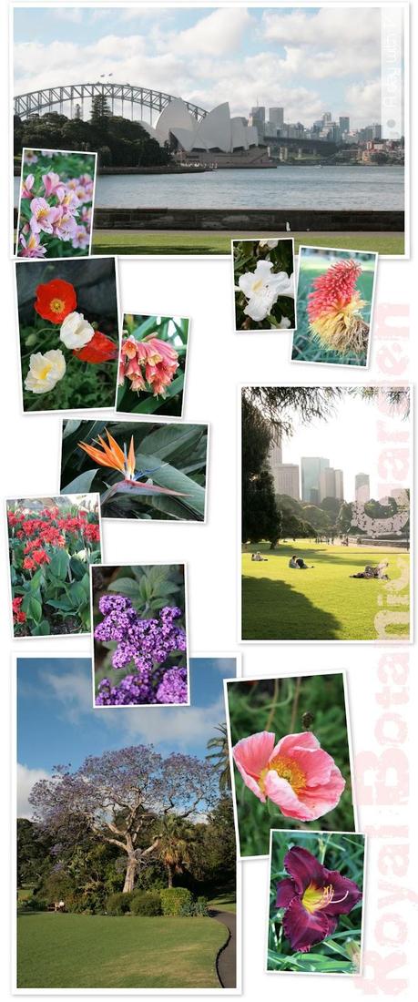 Royal Botanic Garden