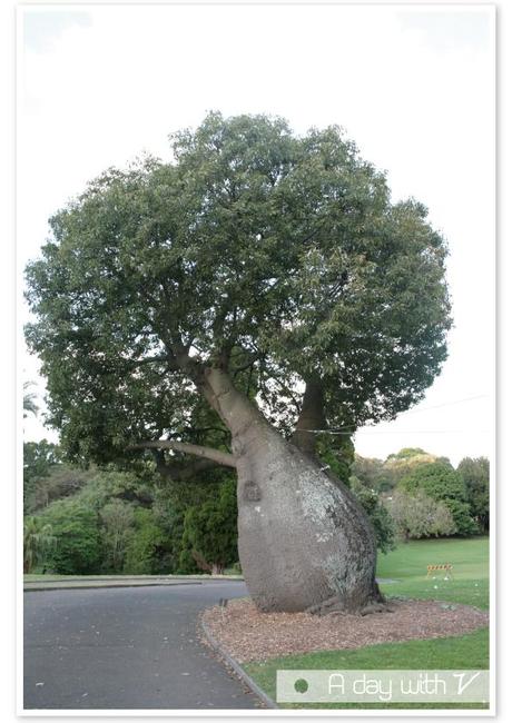 Royal Botanic Garden