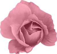 Un Angelo di ballerina....