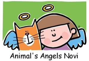 animal's angels novi