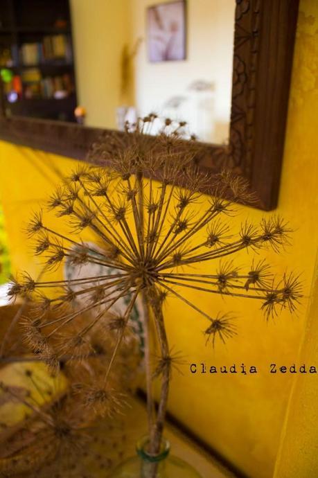 Per la casa: fiori di Sardegna Per la casa: fiori di Sardegna