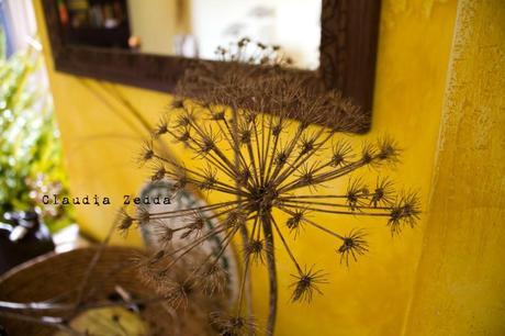 Per la casa: fiori di Sardegna Per la casa: fiori di Sardegna