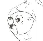 anelli di plastica,anelli lattine,riciclo anelli,anelli ecologia,anelli ambiente,