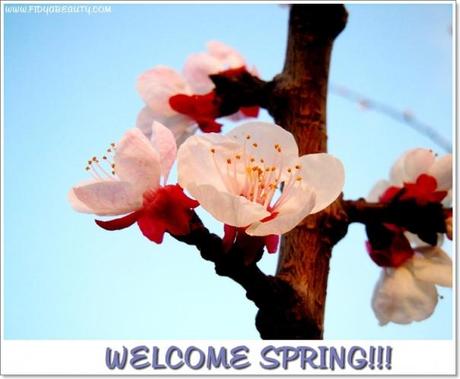 WELCOME SPRING!