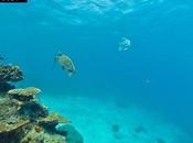 SeaView Lancia Google Street View barriera corallina