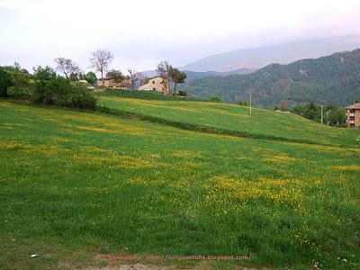 L'anello di Corzano