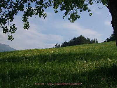 L'anello di Corzano