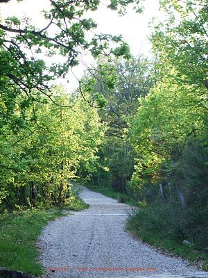 L'anello di Corzano