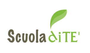 logo scuoladite