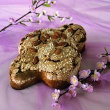 La Colomba simbolo di Pasqua