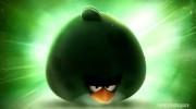Angry Birds Space - 5
