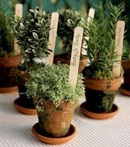 Wedding favors are a great addition to your wedding, but maybe you're concerned about hundreds of trinkets ending up in the landfill - so go green!    It's...