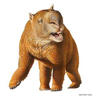 megafauna australiana Diprotodonte