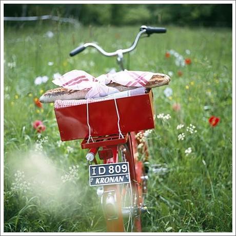 Il consiglio scaltro del venerdì - Friday's Smart Tip