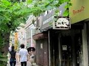 rampicante giapponese Goya