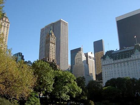 NEW YORK #1 - Central Park
