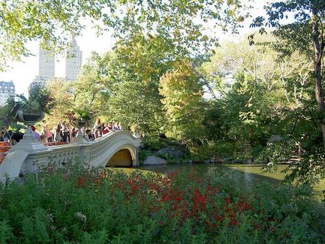 NEW YORK #1 - Central Park