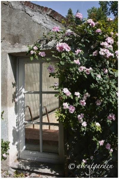 una cornice vegetale Shabby Chic… on Friday