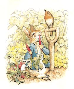 Venerdì del libro: Beatrix Potter