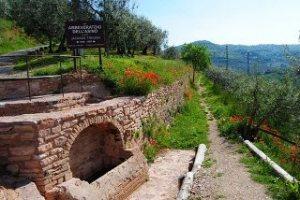 SUBASIO CON GUSTO: LEZIONE “SUL CAMPO” ALLA RICERCA DEI SAPORI DELLE ERBE CAMPAGNOLE E COMMESTIBILI LUNGO IL PERCORSO DELL’ACQUEDOTTO ROMANO