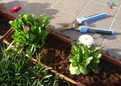 RINNOVIAMO IL GIARDINO