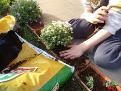 RINNOVIAMO IL GIARDINO