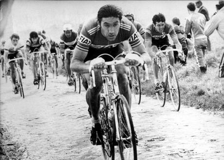 MARINES VINTAGE: Eddy MERCKX